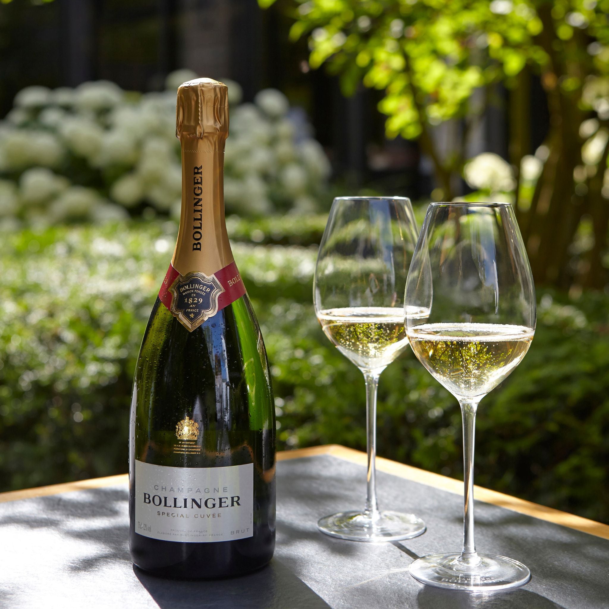 Bollinger Elizabeth Champagne Glass 29cl (Glass) (NOT FOR SALE)